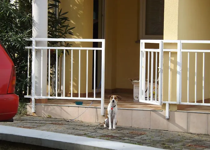 Bressan Apartament